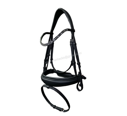 Leather Bridle 